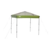 Coleman 7 X 5 Ft. Instant Canopy