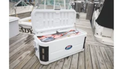 Coleman Signature OffShore Pro Series Marine Cooler 9 Coleman Signature OffShore Pro Series Marine Cooler -Coleman Sales Store opplanet signature offshore pro 200 marine quart cooler w optimaxx ins tri 3000002237 usage 2